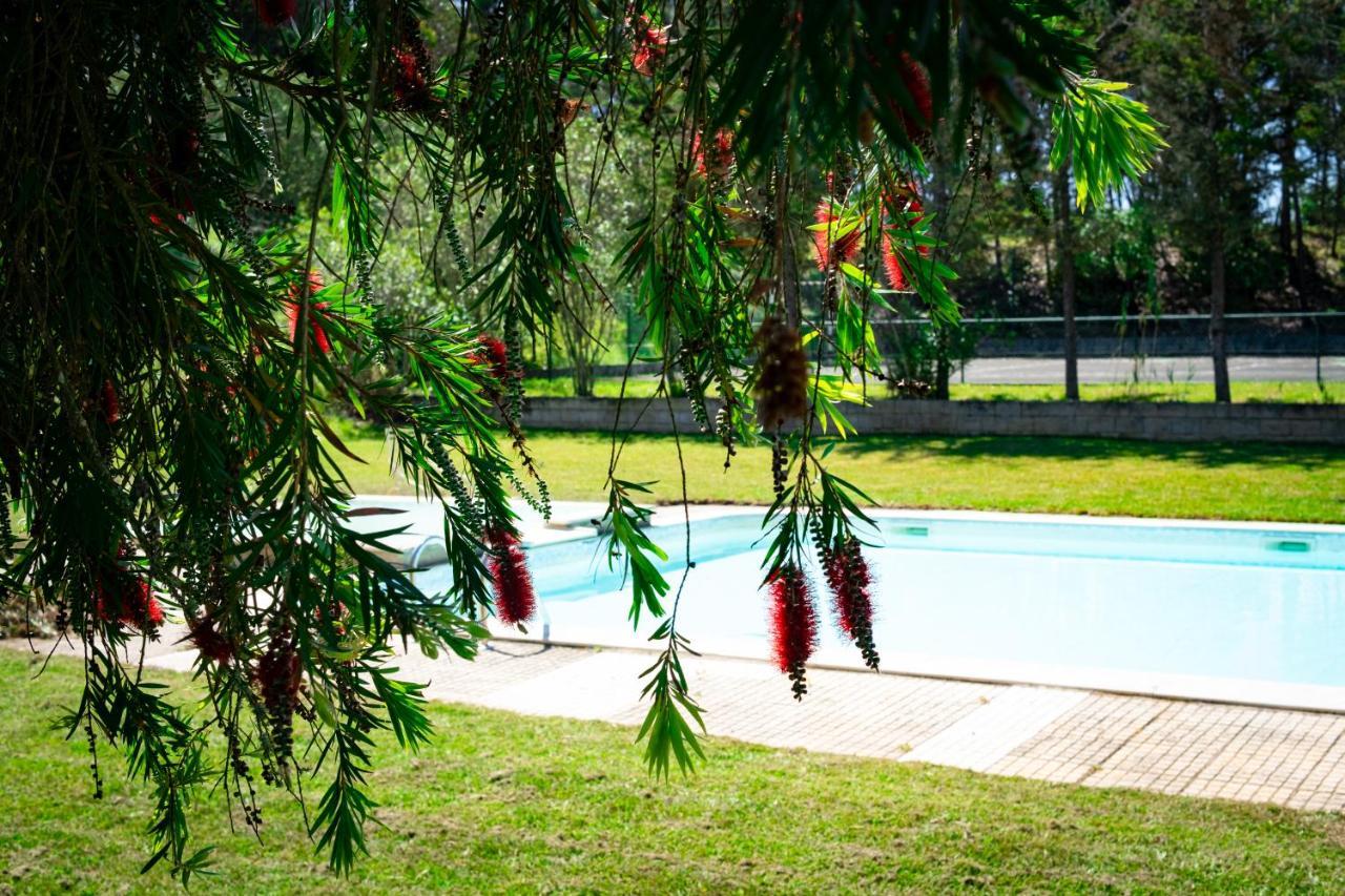 Hotel Rural Quinta Do Juncal Serra d'El-Rei Exteriör bild